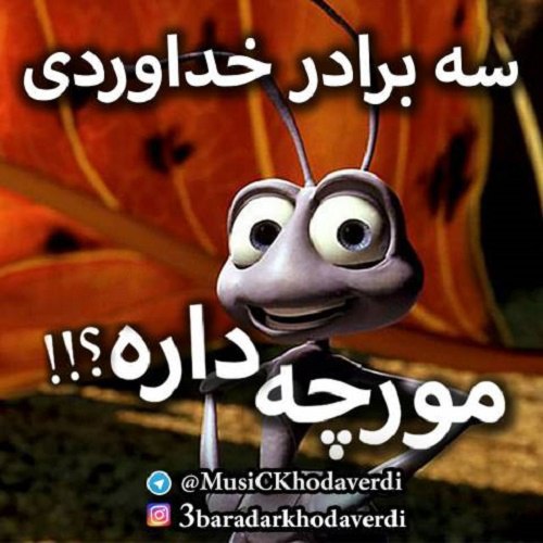 دانلود آهنگ مورچه داره دانلود آهنگ مورچه داره